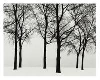 Harry Callahan, (American, 1912-1999), Chicago (trees in snow), 1950
