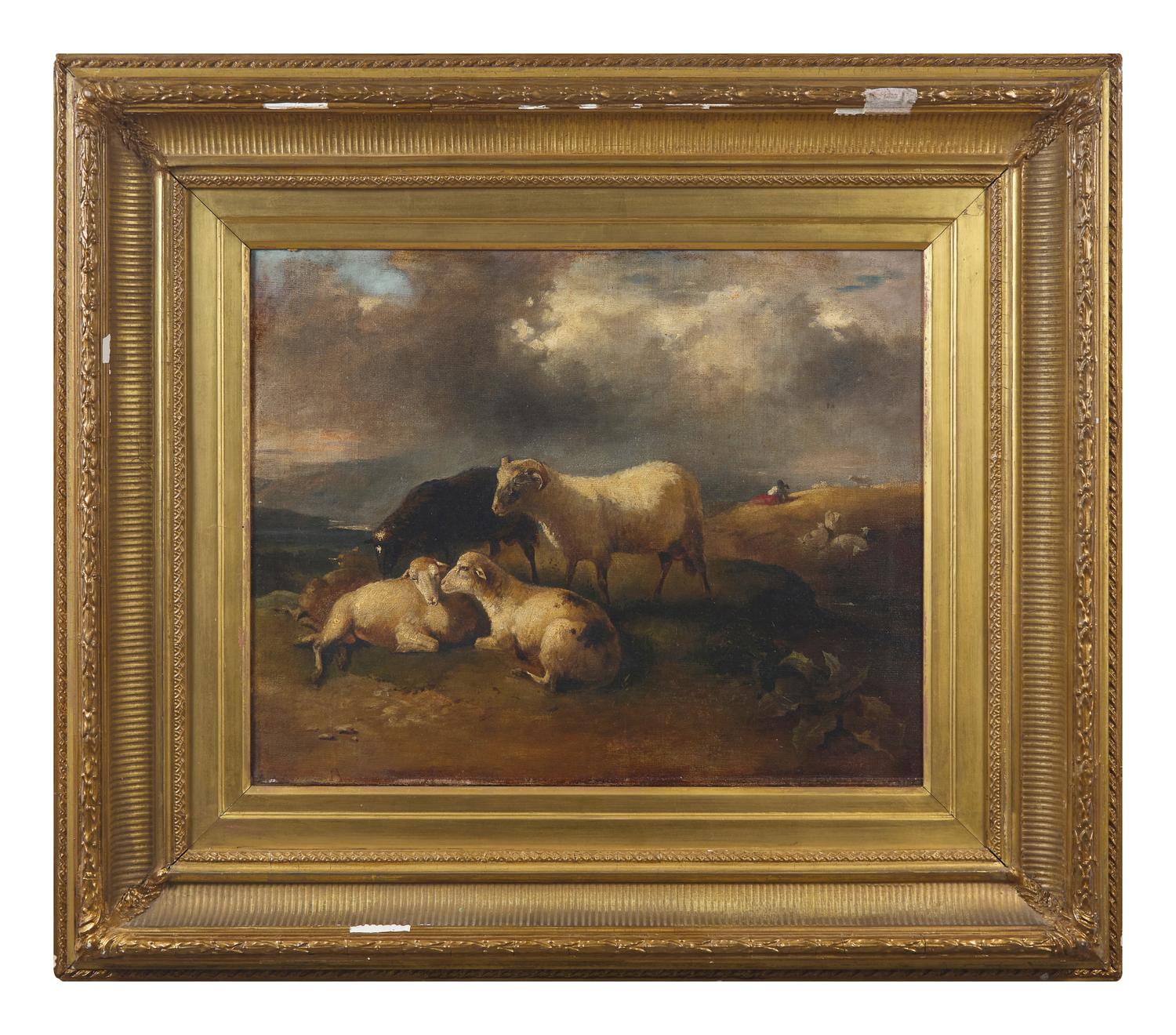 Sheep in a Meadow