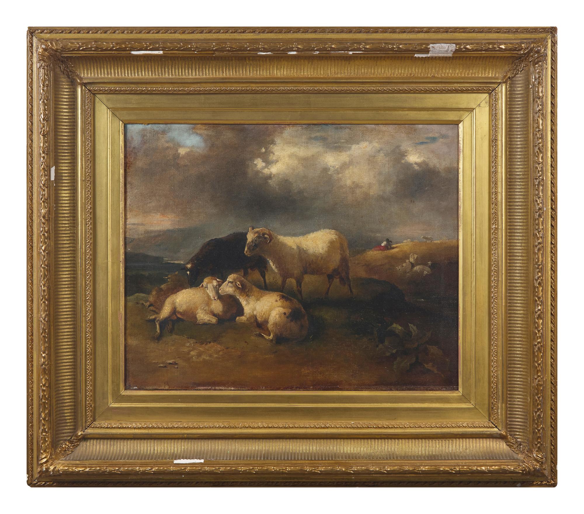 Sheep in a Meadow
