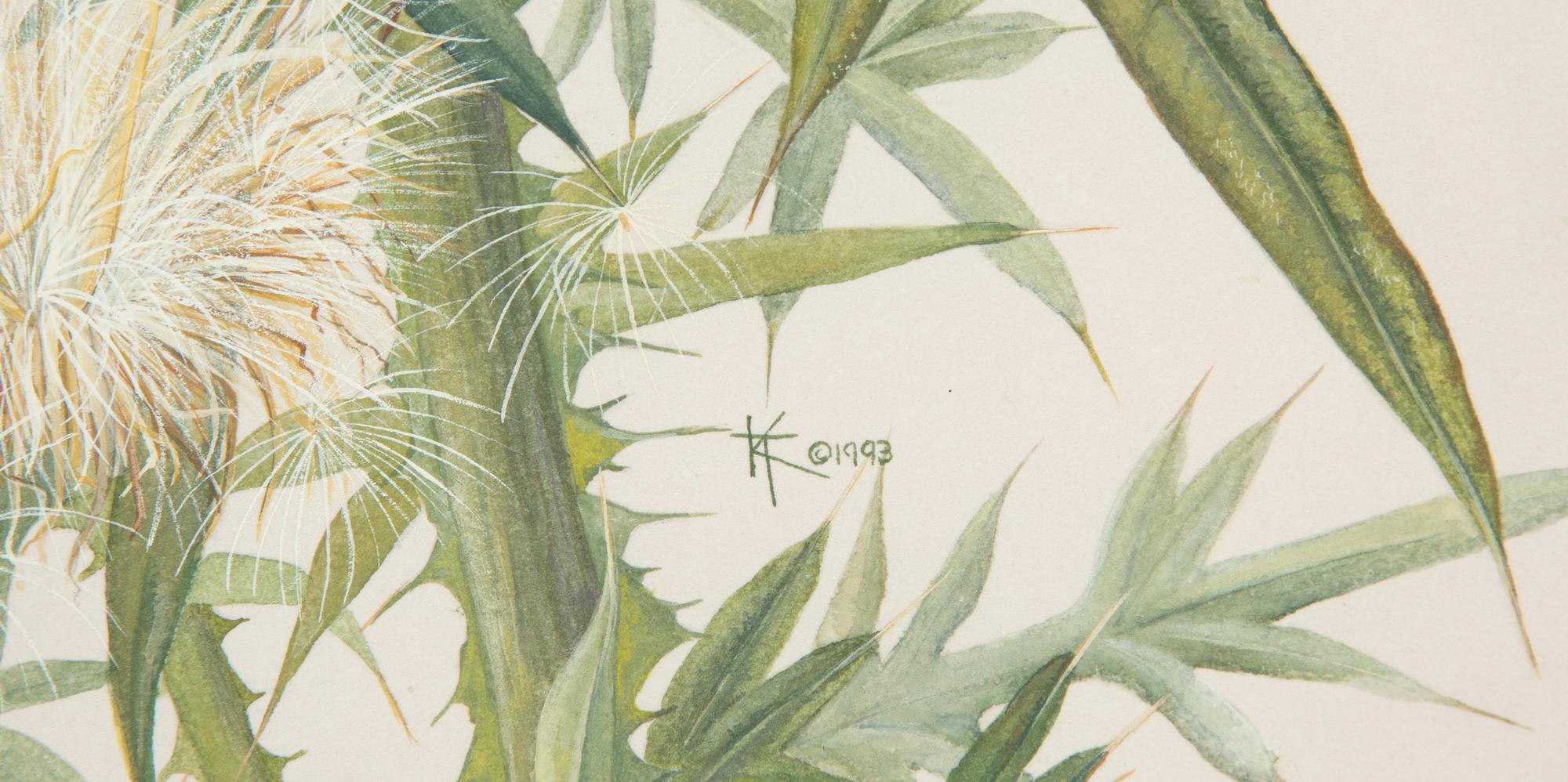Thistle and Sunshine, 1993