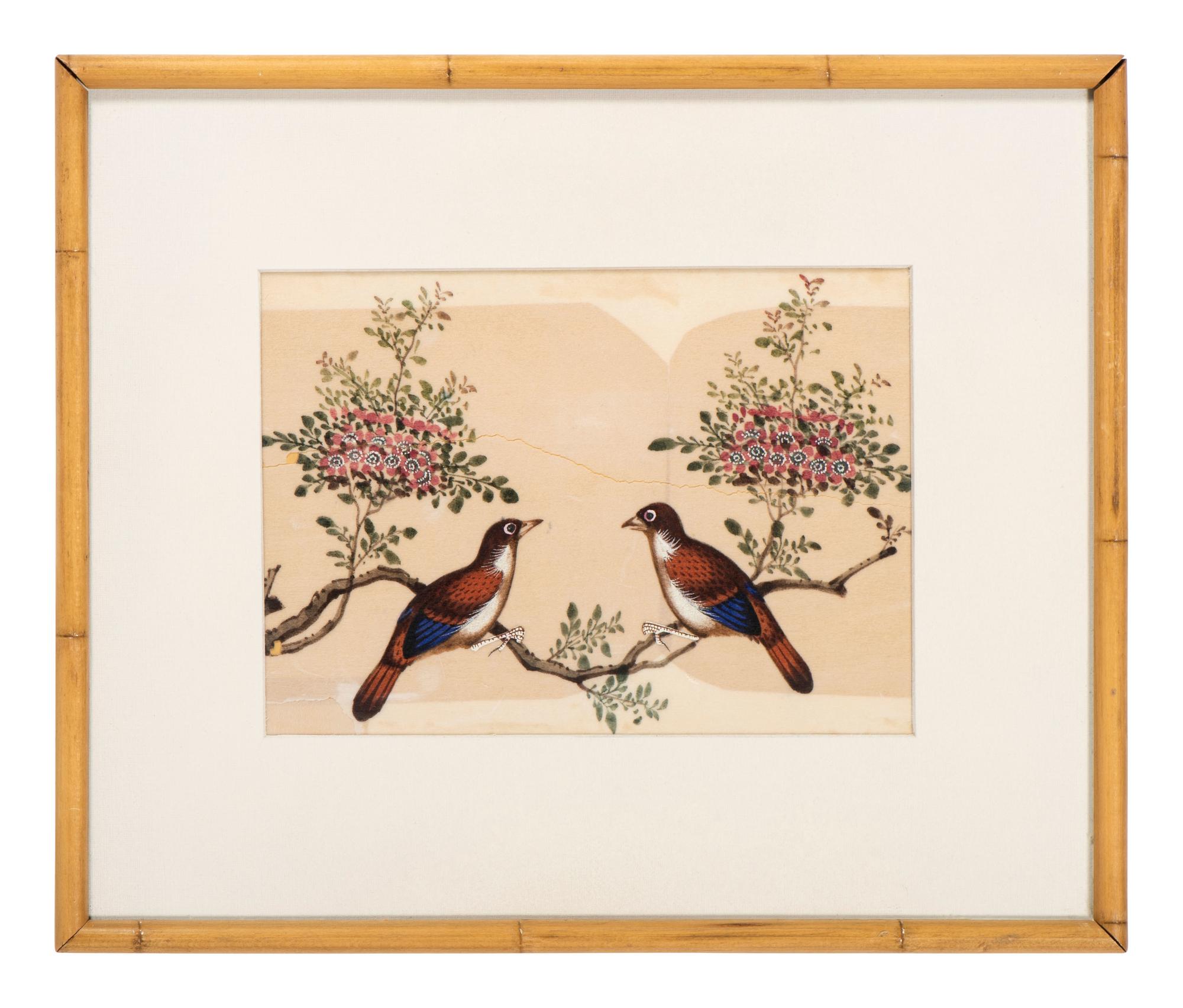 Seven Chinese Export Pith Paintings of Perched Birds and Flowers