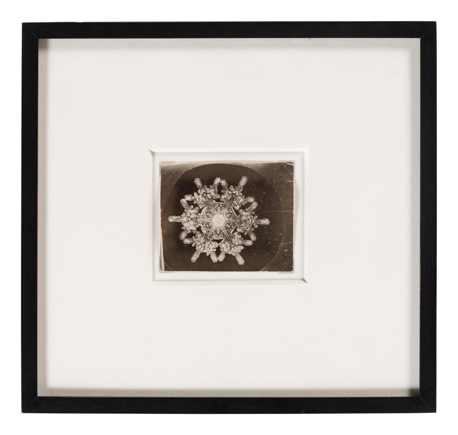 Snowflake , 1885-1931