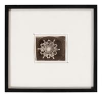 Snowflake , 1885-1931