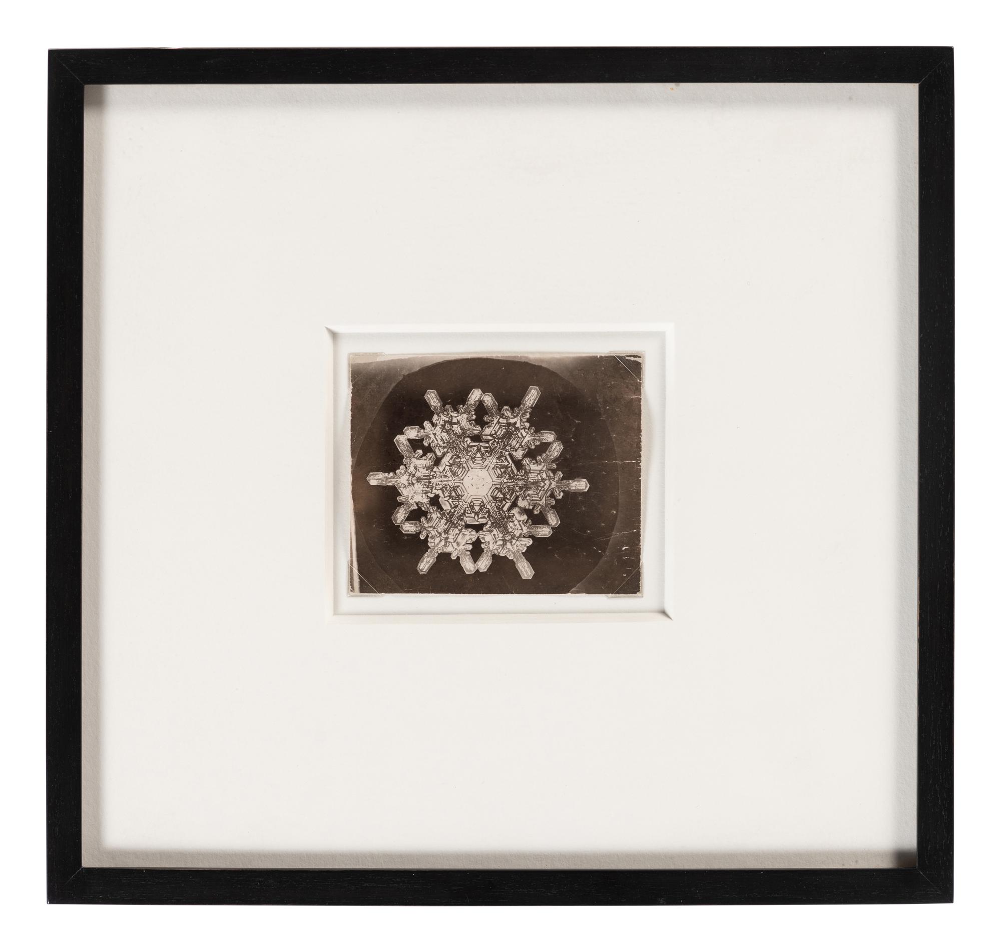 Snowflake , 1885-1931