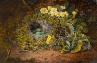 Nests among Wild Flowers (a pair)