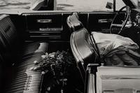 Roses in Kennedy's Limousine