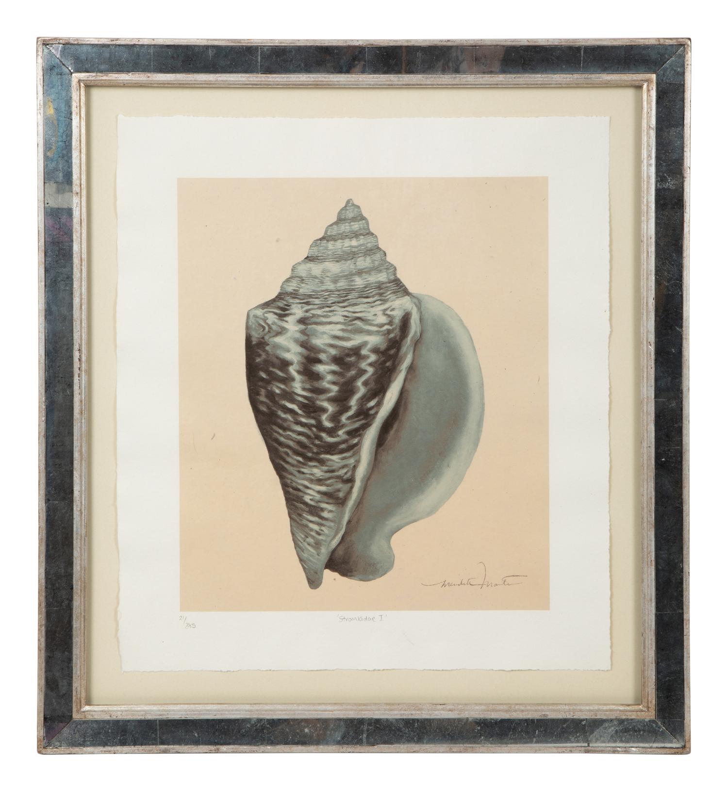 A Set of Four Decorative Nautilus Prints in Mirrored Frames — 20TH CENTURY