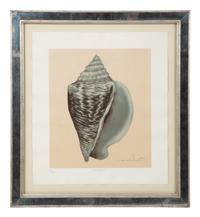 A Set of Four Decorative Nautilus Prints in Mirrored Frames — 20TH CENTURY