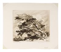 Pines in Wind