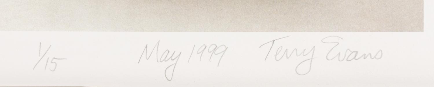 Field Museum, Andropogon, July 24, 1893 , 1999