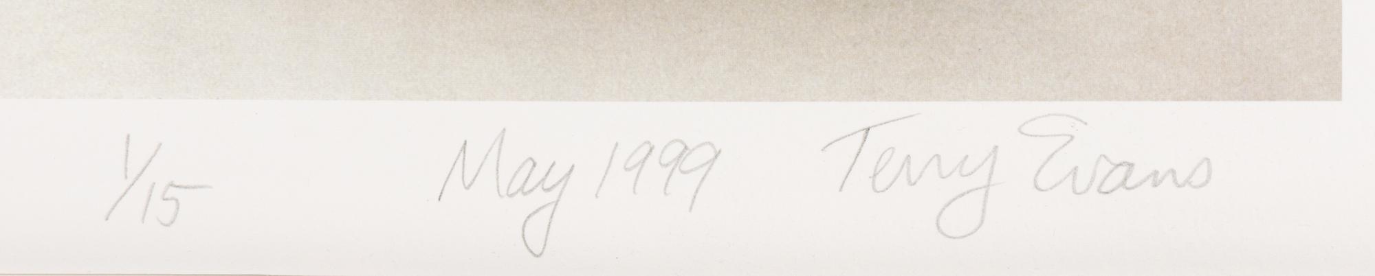 Field Museum, Andropogon, July 24, 1893 , 1999