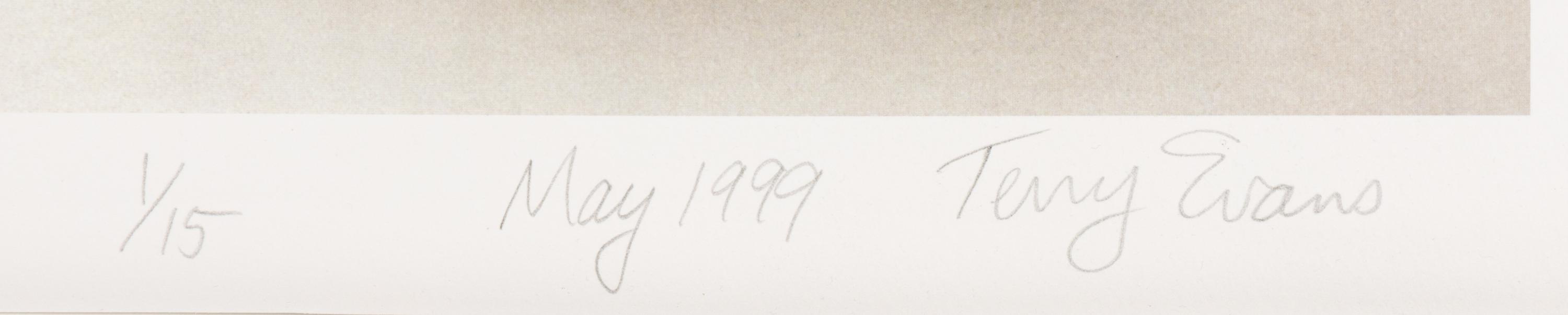 Field Museum, Andropogon, July 24, 1893 , 1999