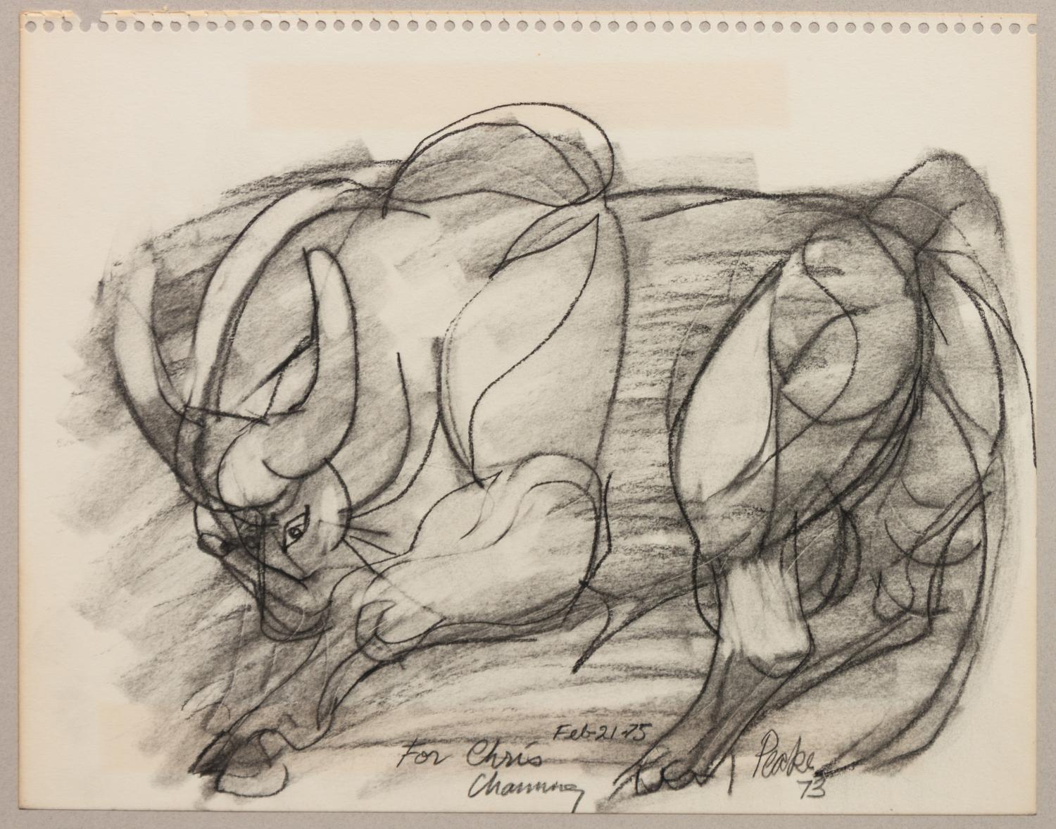 Group of Two Bull Drawings
