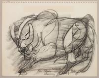 Group of Two Bull Drawings