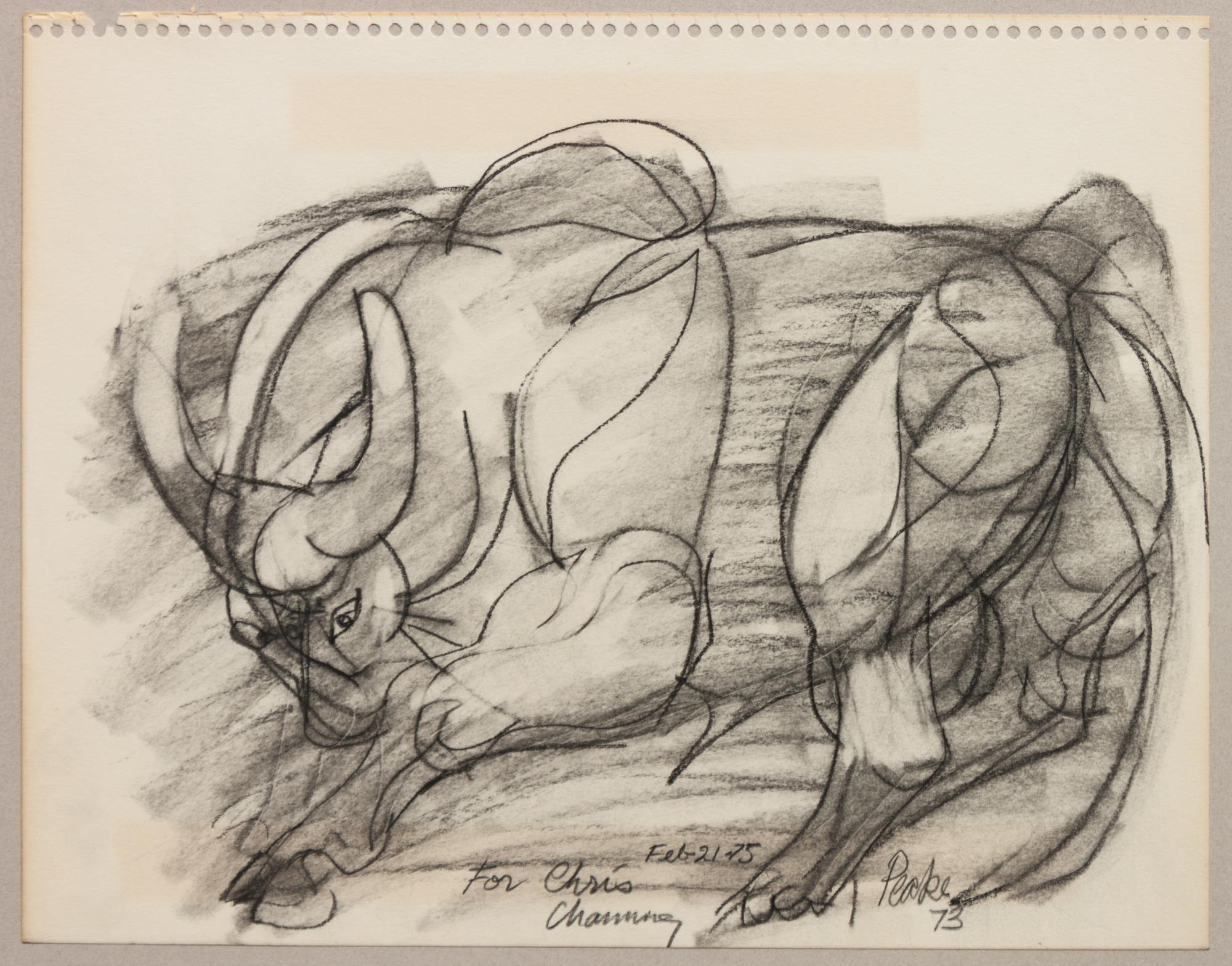 Group of Two Bull Drawings
