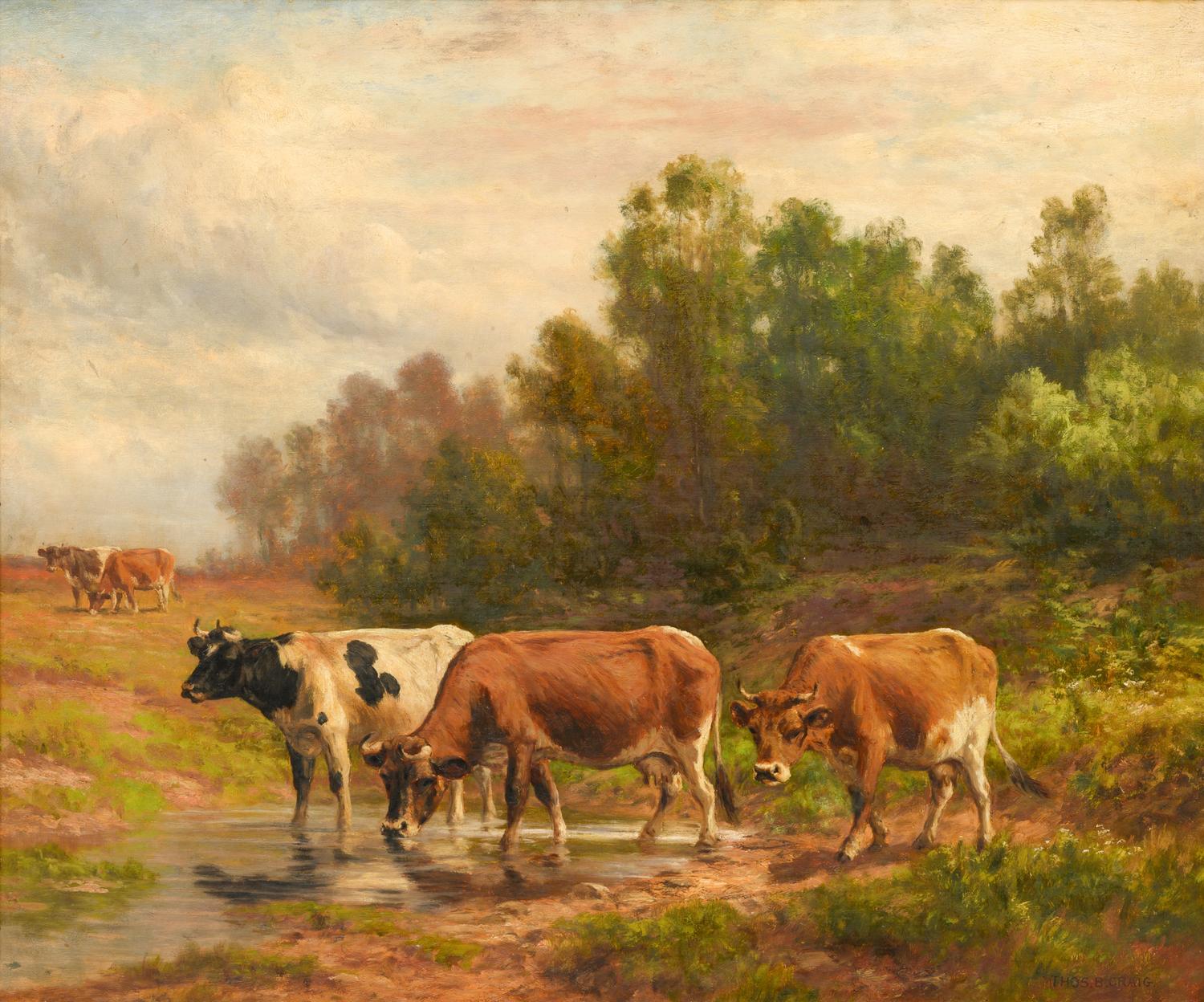 Where the Cattle Linger