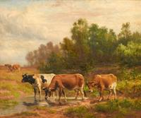 Where the Cattle Linger