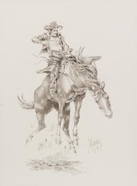 A Cowboy's Ups and Downs