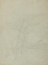 Study of Young Trees