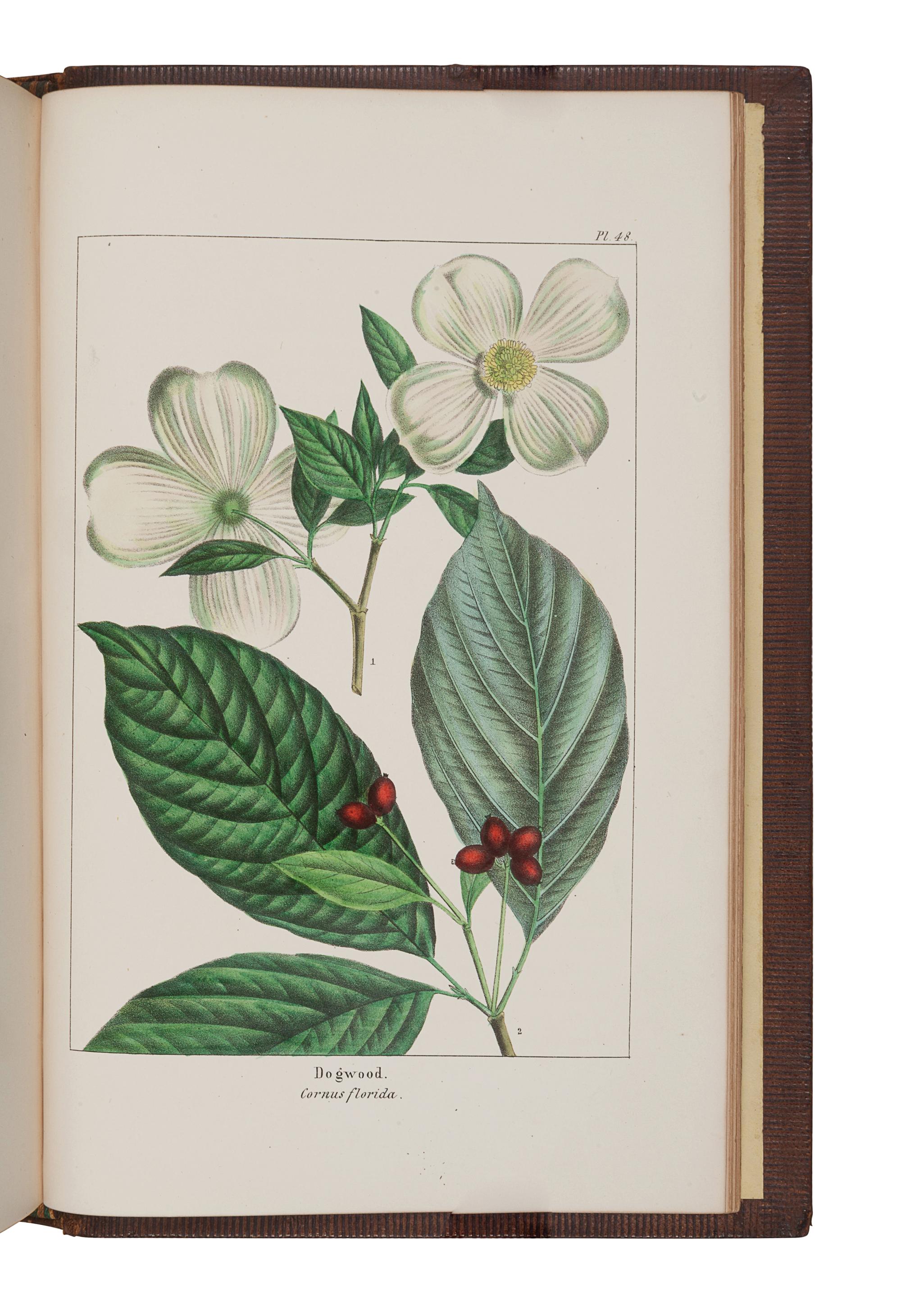MICHAUX, François-André (1770-1855). -- NUTTALL, Thomas (1786-1859). The North American Sylva; or, A Description of the Forest Trees of the United States, Canada, and Nova Scotia . Philadelphia: D. Rice & A.N. Hart, 1859.