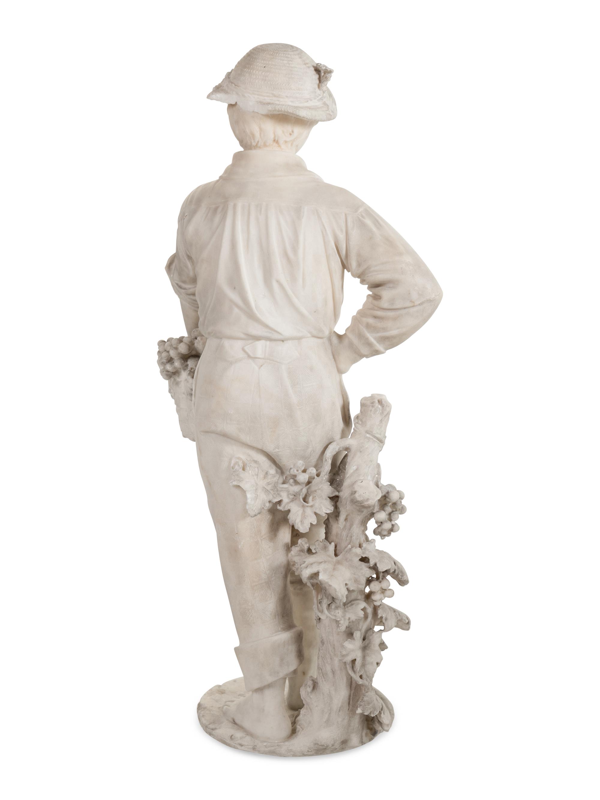 Boy Harvesting Grapes
