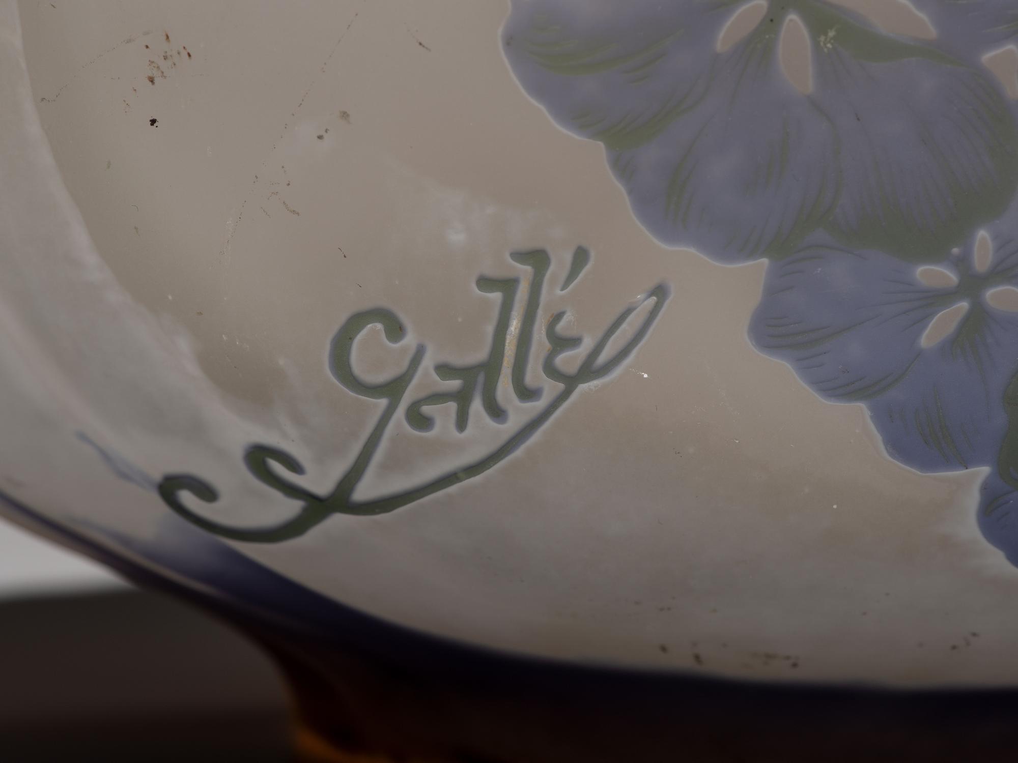 Hydrangea Vase