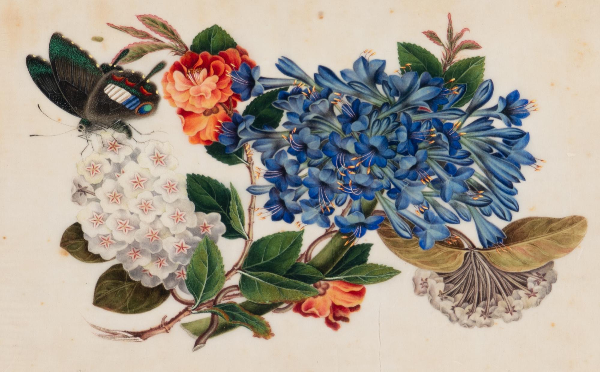 A Set of Twelve Chinese Export Watercolor and Pith Botanical Paintings