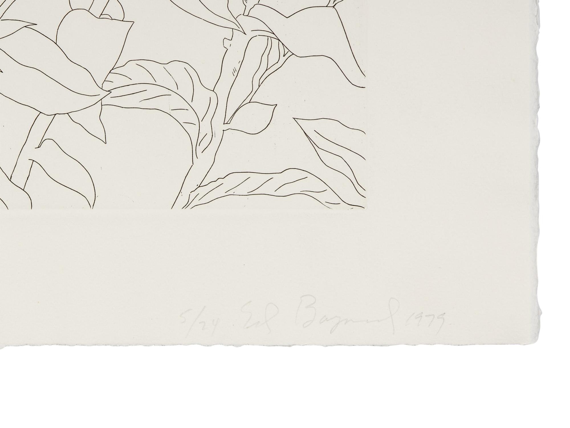 Untitled from Flowers Suite , 1979