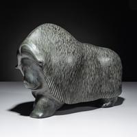 Muskox , Exhibited and Published