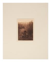 Edward S. Curtis (1868-1952) Selected Native American Studies, from "North American Indian," 1907-1916