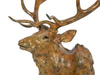 American Elk , edition 16/35