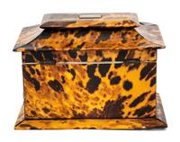 A Regency Tortoiseshell Tea Caddy