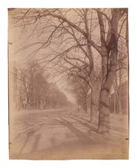 A group of five photographs depicting Paris ( Les Archives - rue des Francs Bourgeois , 1899-1900; Annexe de l'Hôtel Dieu, rue de la Bucherie, cour Saint Julien , 1902-1903; H ô tel de Chanac [cour], 127 rue de Grenelle , 1907; Saint-M é dard, 1926; Avenue de l'Observatoire , 1899-1900)