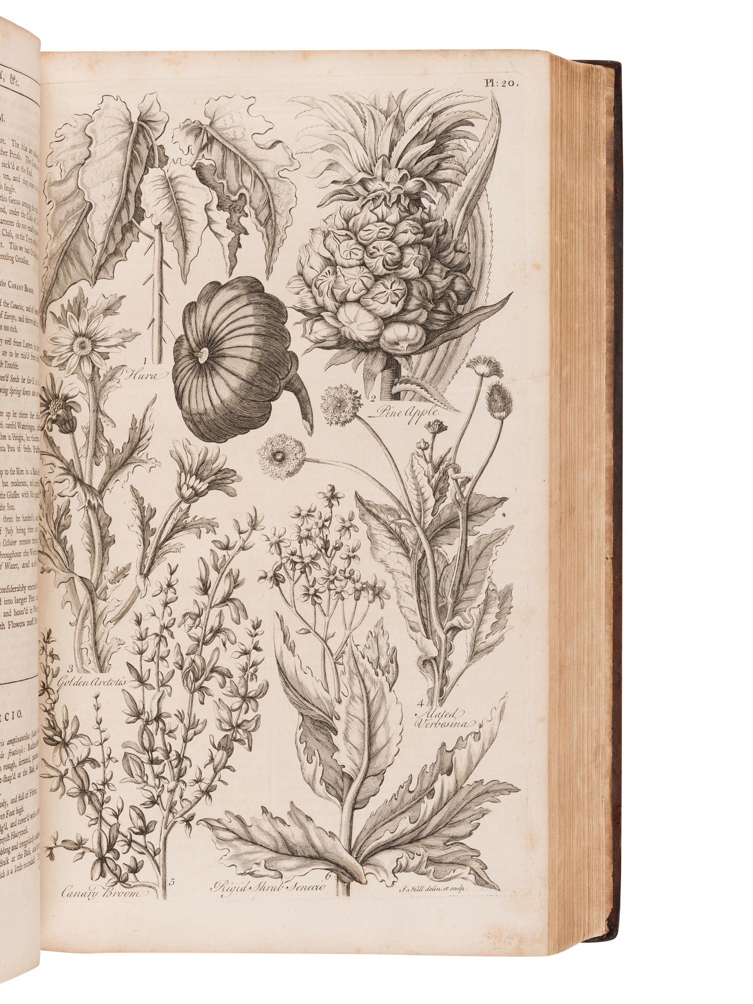 HALE, Thomas (fl. 1750). Eden: or, a Compleat Body of Gardening .... London: for T. Osborne, T. Trye, S. Crowder, and H. Woodgate, [1756-]1757.