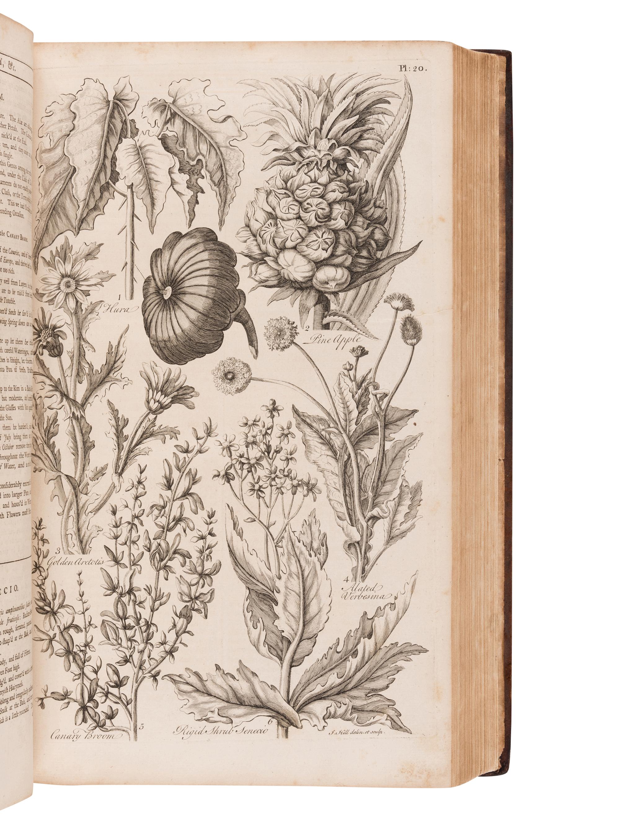 HALE, Thomas (fl. 1750). Eden: or, a Compleat Body of Gardening .... London: for T. Osborne, T. Trye, S. Crowder, and H. Woodgate, [1756-]1757.