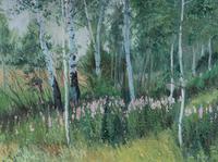 Aspen and Fireweed