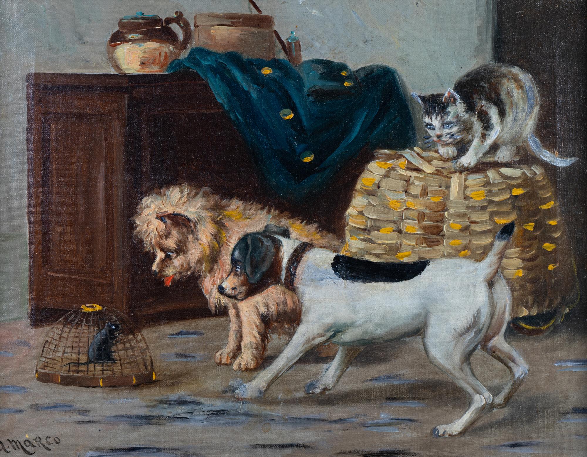 Two Dogs and A Cat Watching Caged Rat
