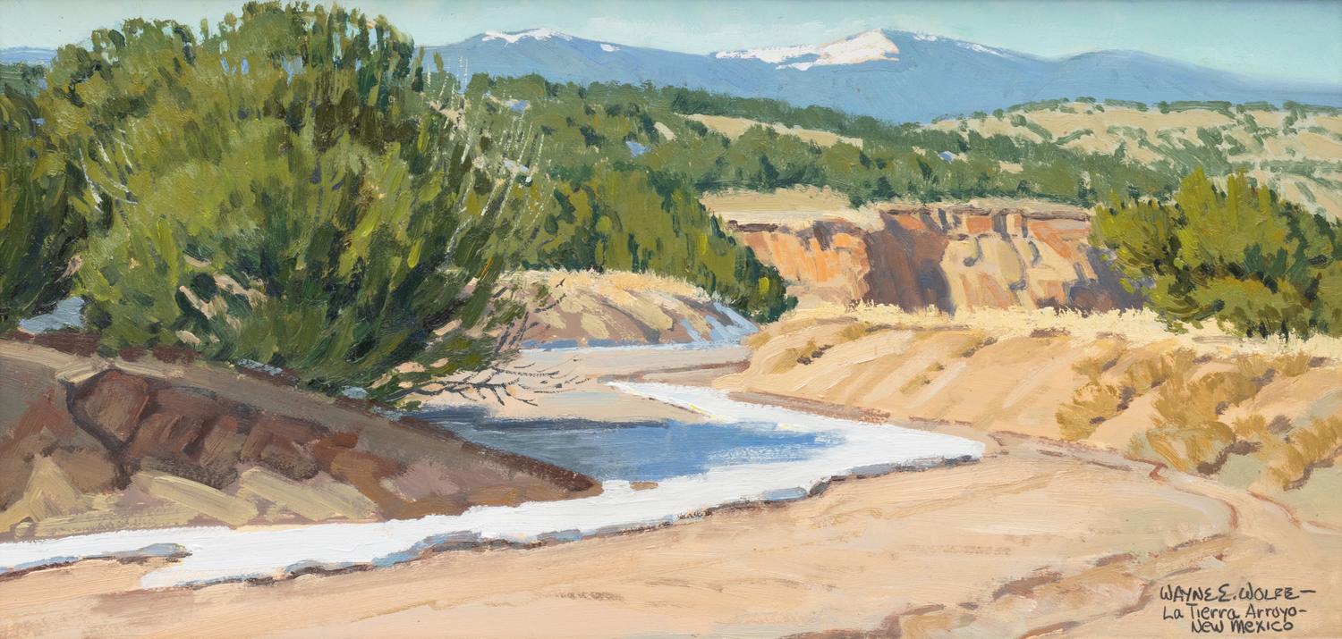 La Tierra Arroyo - New Mexico