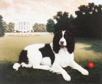 Eight Prints depicting Dogs of Various Breeds Largest: 13 x 19 inches.