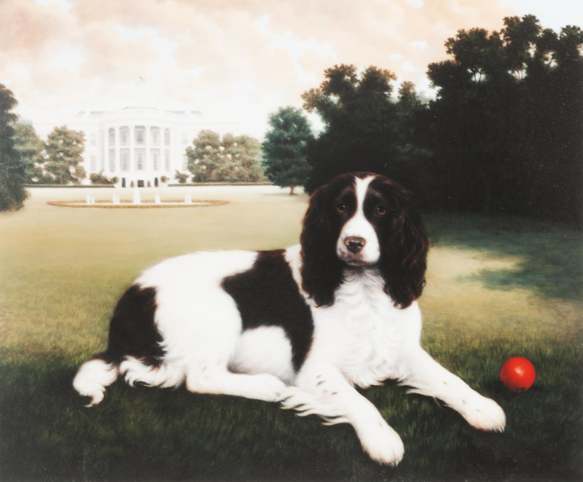 Eight Prints depicting Dogs of Various Breeds Largest: 13 x 19 inches.