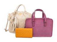 Three Prada Leather & Exotic Skin Pieces