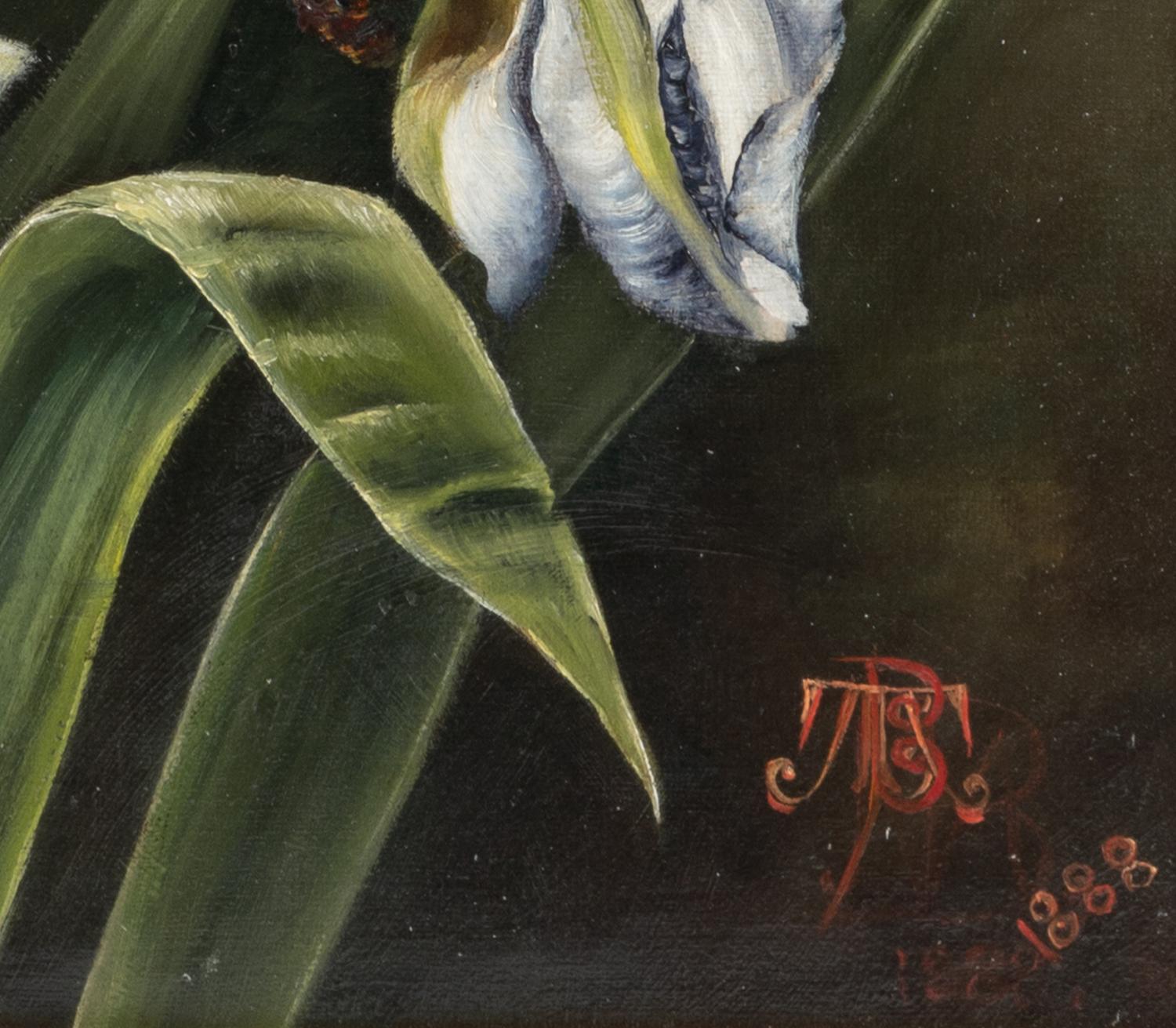 Artist Unknown, Late 19th Century