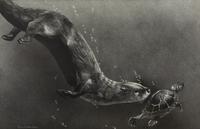 Playing Otter , 1997