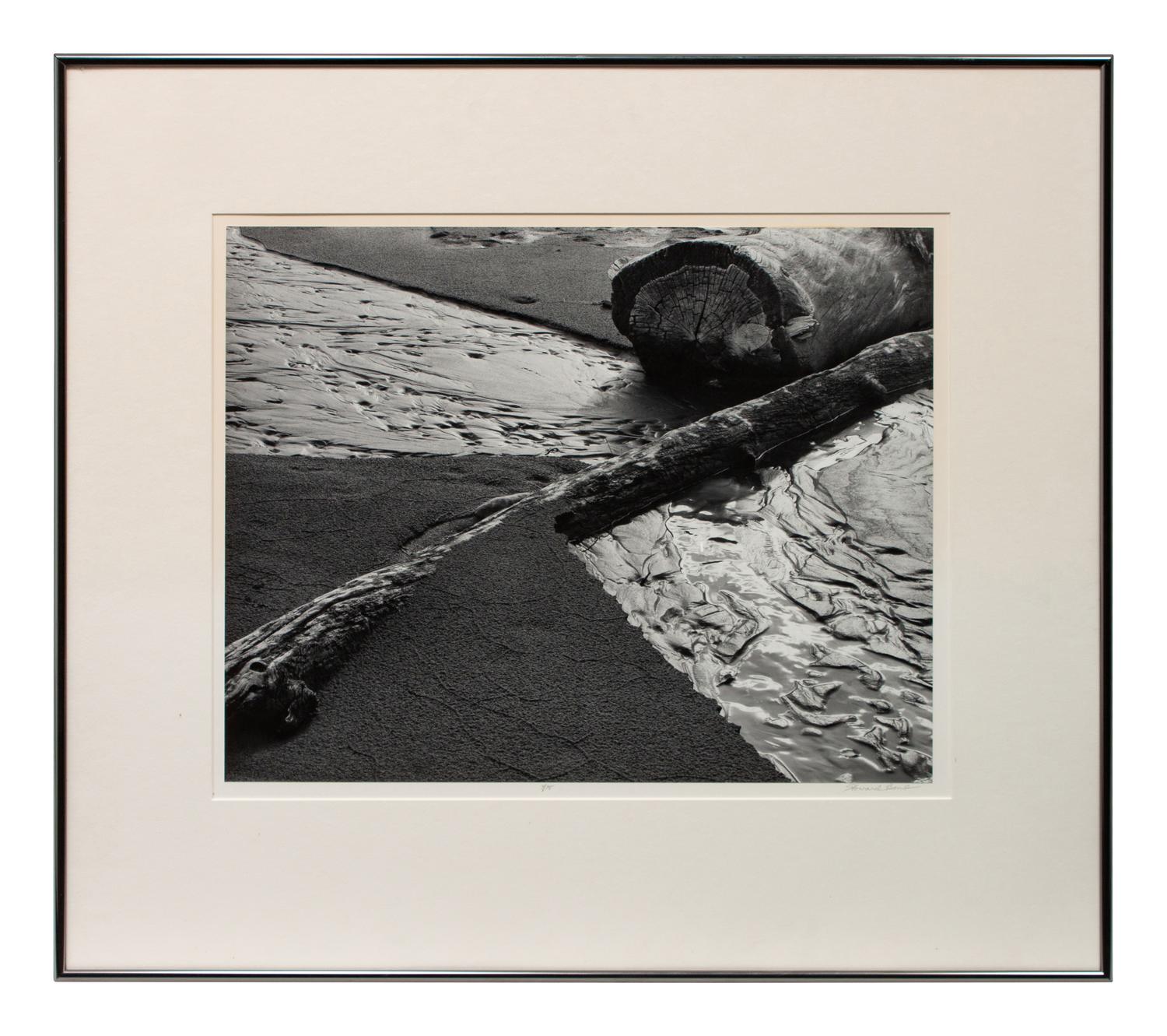 Beach Landscape