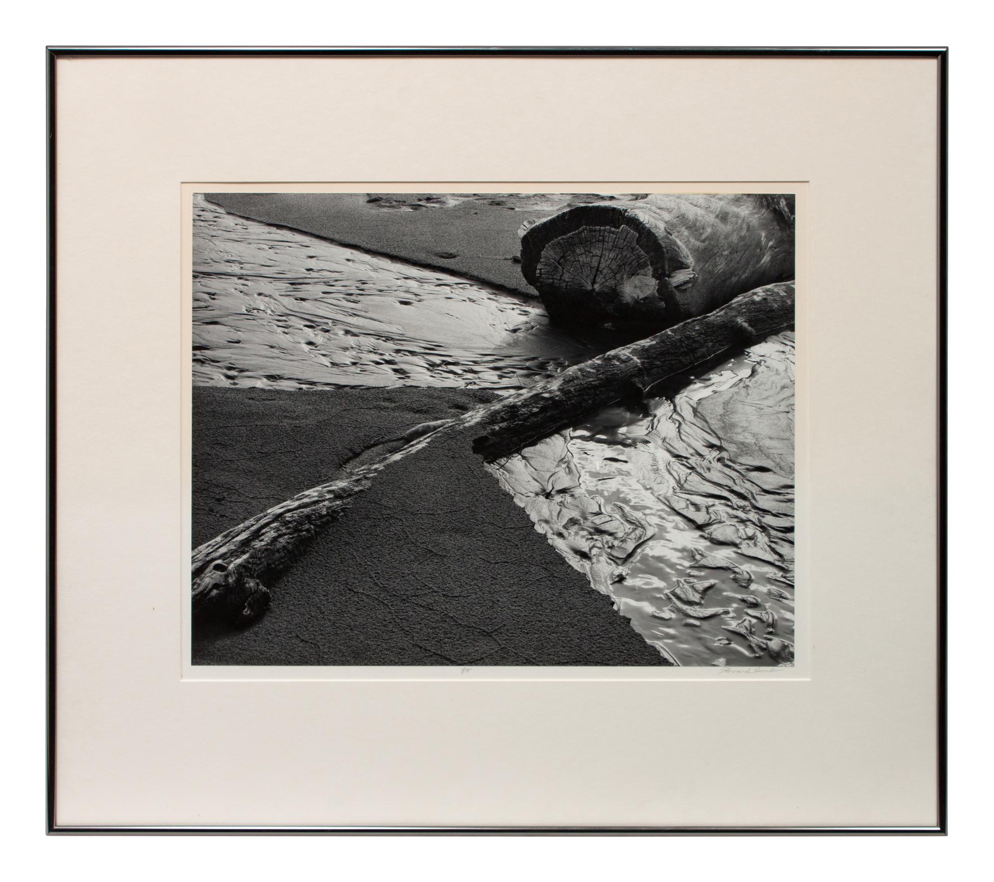 Beach Landscape