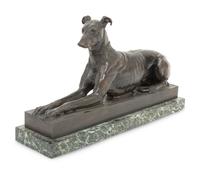 Tom, the Algerian Greyhound
