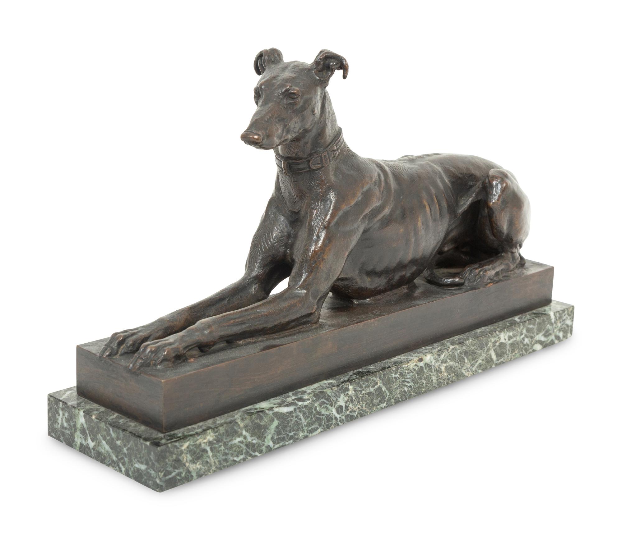 Tom, the Algerian Greyhound