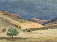 Rolling Hills