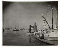 A Group of Three Images Depicting Florida, 1954