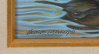 Hooded Mergansers , 1995